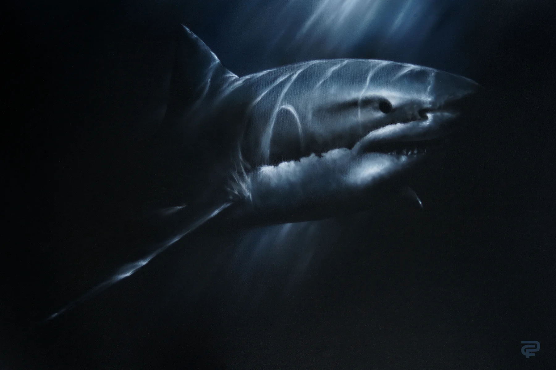 Great White painting