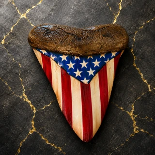 Old Glory hand-painted American flag megalodon casting